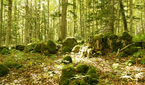 База отдыха Звездная долина, Апшеронский район, Лагонаки