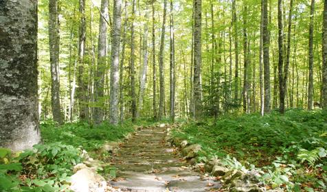 База отдыха Звездная долина, Апшеронский район, Лагонаки