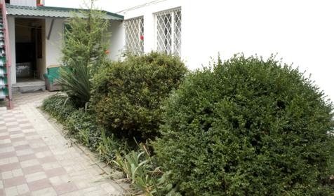 Гостевой дом Людмила, г. Анапа, п. Витязево