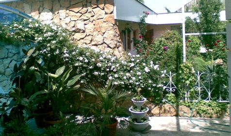 Территория. Гостевой дом Боярский двор, г. Анапа, п. Витязево