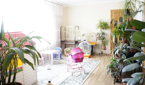 Детская комната. Гостевой дом Боярский двор, г. Анапа, п. Витязево