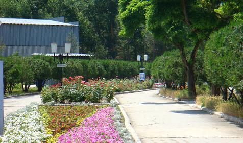 Территория. Санаторно-оздоровительный комплекс Анапа-Нептун, г. Анапа