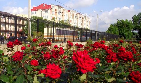 Мини-гостиница Авита, г. Анапа