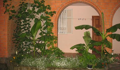 Мини-гостиница Ореховая роща, Туапсинский район, п. Джубга