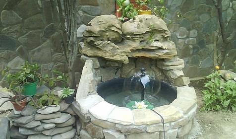 Территория. Мини-гостиница Ореховая роща, Туапсинский район, п. Джубга