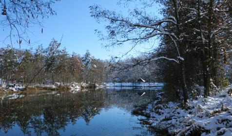 Пруд для рыбалки. База отдыха Кордон, Мостовский район, п. Мостовской