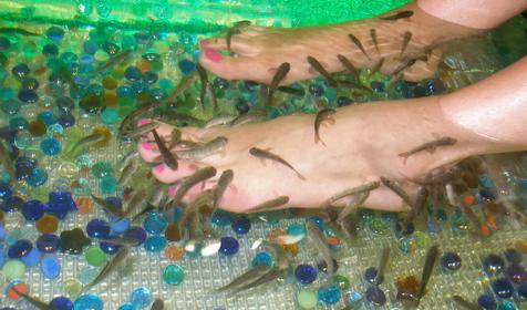 Ноги в рыбках. SPA-салон Таймания, г. Туапсе