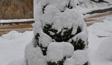 Туристический комплекс Даховская слобода, Майкопский район, ст. Даховская