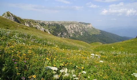 Тур Горный пленэр, гостевой дом Золотой олень, ст. Даховская