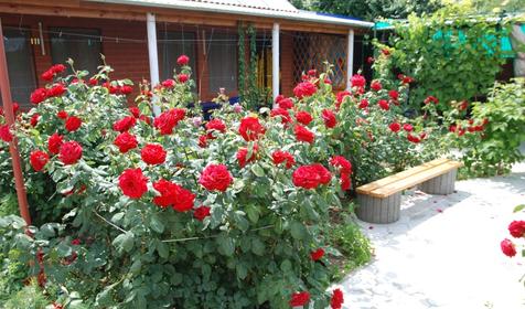 Гостиница Астери, п. Кучугуры