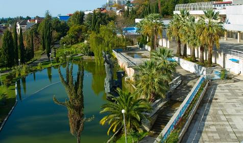 Территория. Пансионат Нева Интернейшенел, г. Сочи