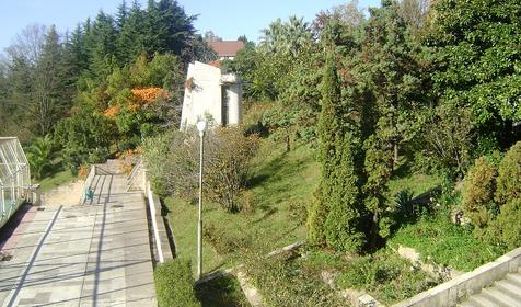 Территория. Пансионат Нева Интернейшенел, г. Сочи