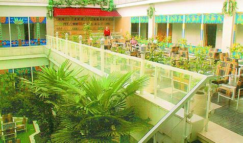 Пансионат Нева Интернейшенел, г. Сочи