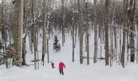 База отдыха Звездная долина, Апшеронский район, Лагонаки