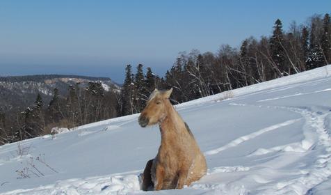 База отдыха Звездная долина, Апшеронский район, Лагонаки