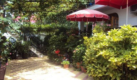 Гостиница Эвкалипт, Сочи, Лазаревский район, п. Лоо