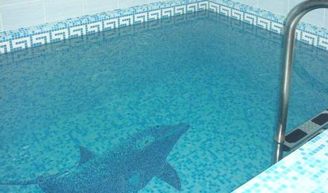 Бассейн сауны. Гостевой дом Лера, г. Сочи, Лазаревский район, п. Лоо