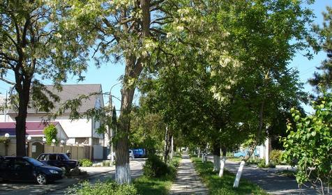 Тенистая аллея. Отель Golden lady, г. Анапа
