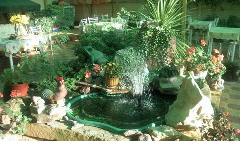 Отель Вариант, Сочи, Адлер