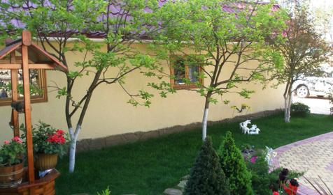 Отель Вариант, Сочи, Адлер