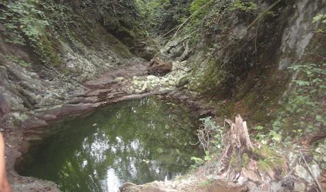 Природа. Мини-отель Вишневка, Лазаревский район, п. Вишневка