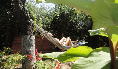 Территория. Мини-отель Вишневка, Лазаревский район, п. Вишневка