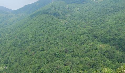 Горы. Мини-отель Вишневка, Лазаревский район, п. Вишневка