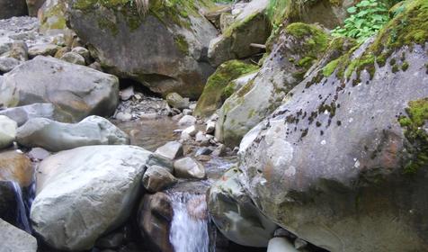 Природа. Мини-отель Вишневка, Лазаревский район, п. Вишневка