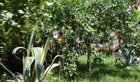 Отель Анжела, г. Адлер