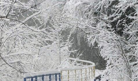 Гуамское ущелье. Турбаза Предгорье. Республика Адыгея, Майкопский р-н, п. Каменномостский