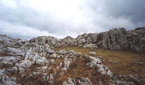 Каменное море. Турбаза Предгорье. Республика Адыгея, Майкопский р-н, п. Каменномостский