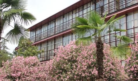 Корпус Мать и дитя санатория им. Семашко, г. Сочи, Лазаревский р-н