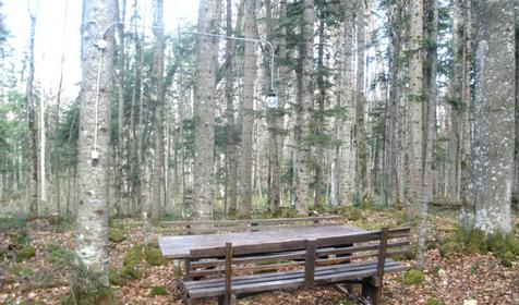 Гостевой дом Престиж-Лагонаки. Апшеронский р-н, плато Лаго-Наки, поляна Геймоновская