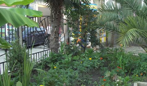 Гостевой дом Марлита, г. Адлер