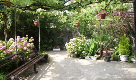 Двор. Гостевой дом Аист, г. Сочи, п. Лоо