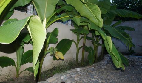 Гостевой дом Аист, г. Сочи, п. Лоо