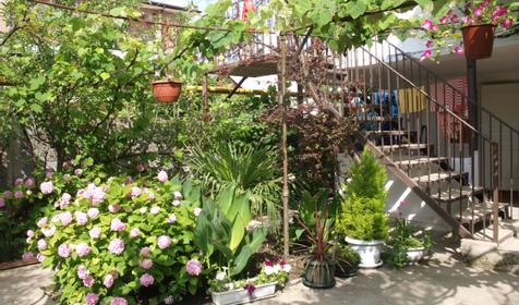 Гостевой дом Аист, г. Сочи, п. Лоо