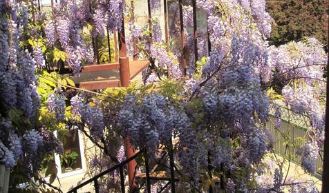 Гостевой дом На Приморской 9, Туапсинский р-н, п. Ольгинка