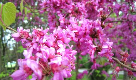 Гостевой дом На Приморской 9, Туапсинский р-н, п. Ольгинка