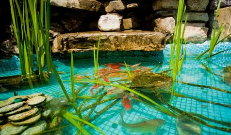 Гостевой дом Лера, г. Сочи, Лазаревский район, п. Лоо