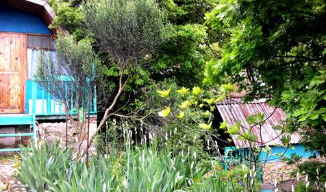 База отдыха Малый Утриш, г. Анапа, п. Малый Утриш