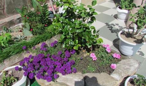 Гостевой дом Владимир, г. Сочи, Лазаревский р-н, п. Лоо