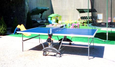 Теннисный стол. Гостевой дом Бетельгейзе, г. Геленджик, п. Криница