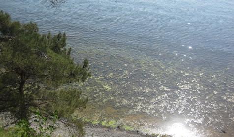 Море. Гостиничный комплекс Дикий берег, Туапсинский район, п. Ольгинка