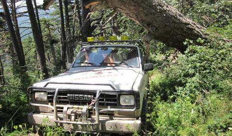 Джиппинг. Гостиница Виола, г. Геленджик, с. Дивноморское