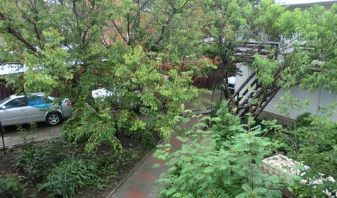 Гостевой дом Азалия, г. Анапа, п. Витязево