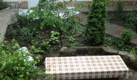 Гостевой дом Азалия, г. Анапа, п. Витязево