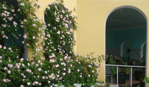 Гостевой дом Эдем, г. Геленджик, с. Архипо-Осиповка