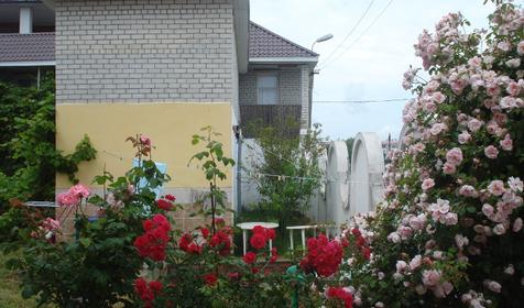 Гостевой дом Эдем, г. Геленджик, с. Архипо-Осиповка