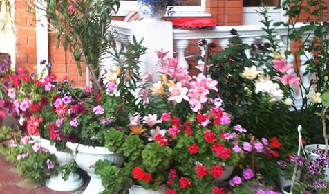 Гостевой дом Иованна, г. Геленджик, с. Дивноморское